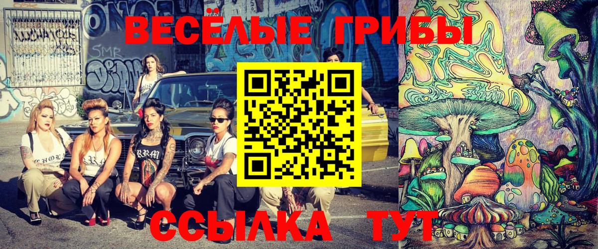 Чебаркуль  Псилоцибиновые грибы мицелий  Вход с VPN 